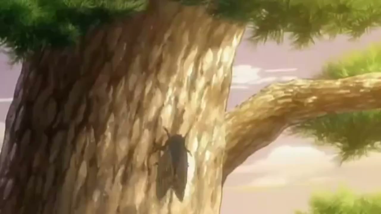 Episódio 005
