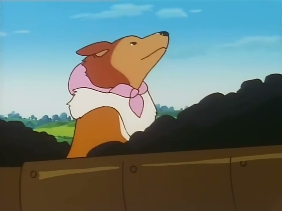 Episódio 005