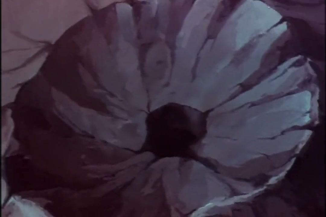 Episódio 025