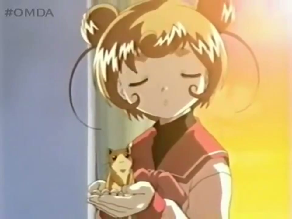 Episódio 013