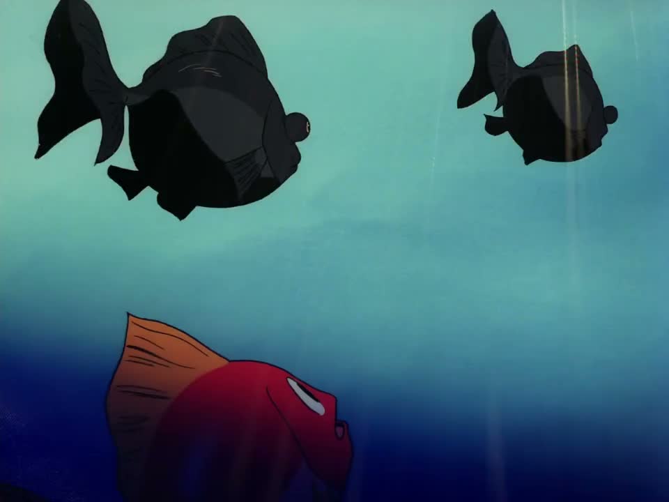 Episódio 003