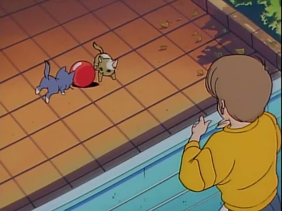 Episódio 031