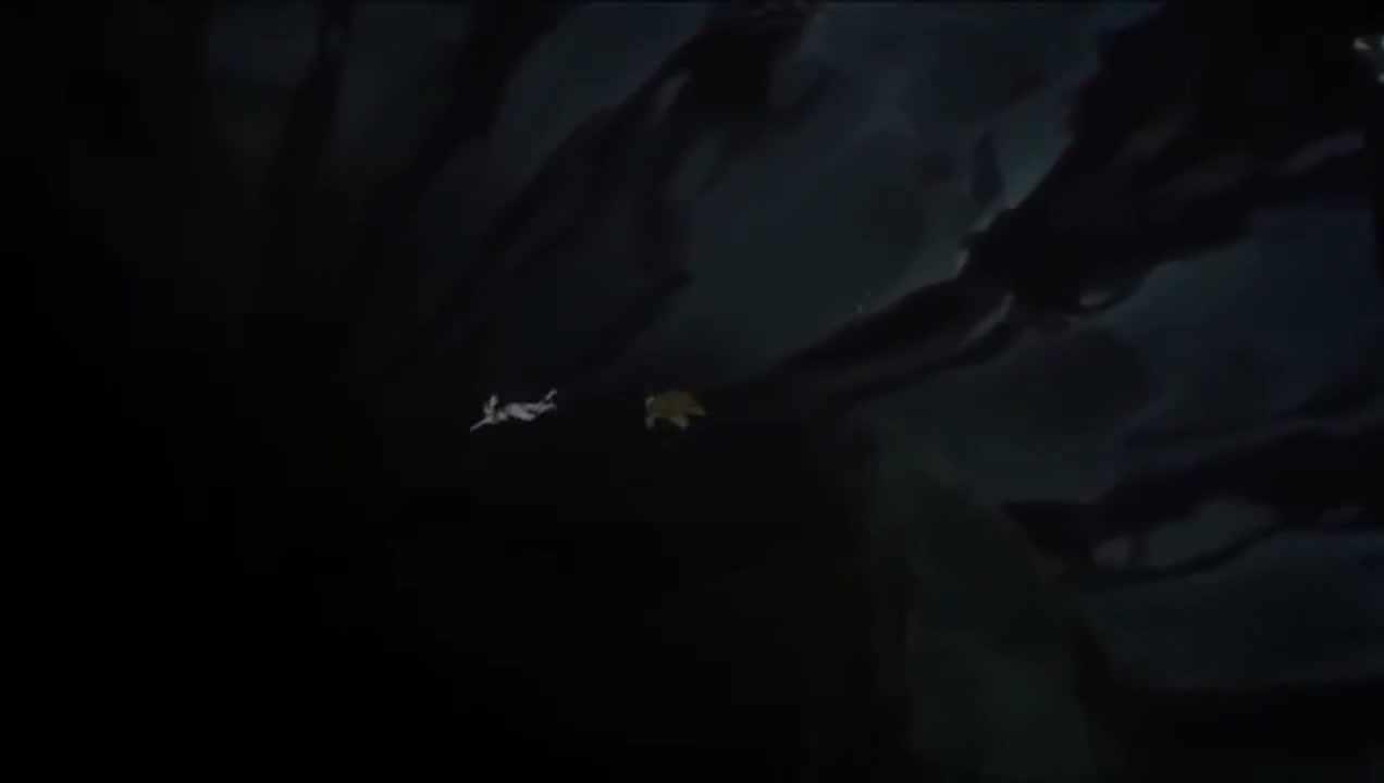 Episódio 007