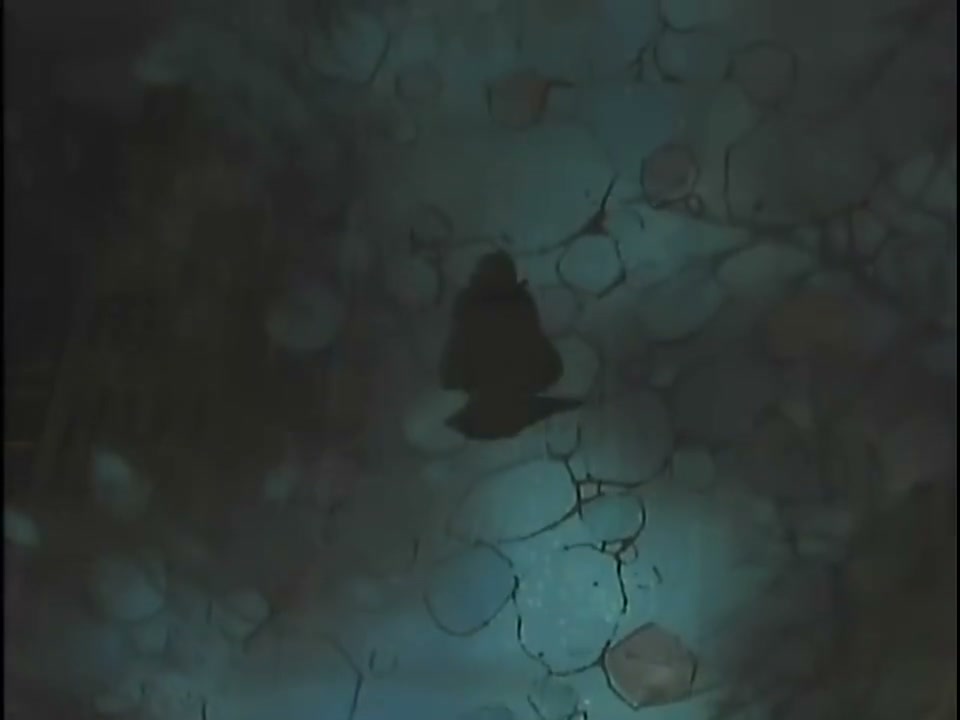 Episódio 183