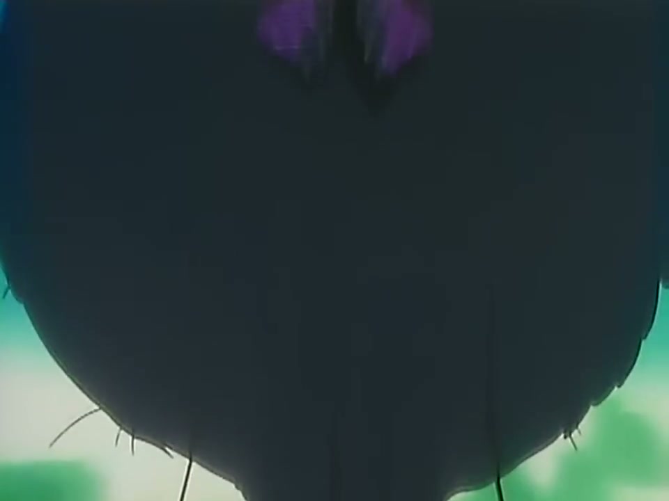 Episódio 173