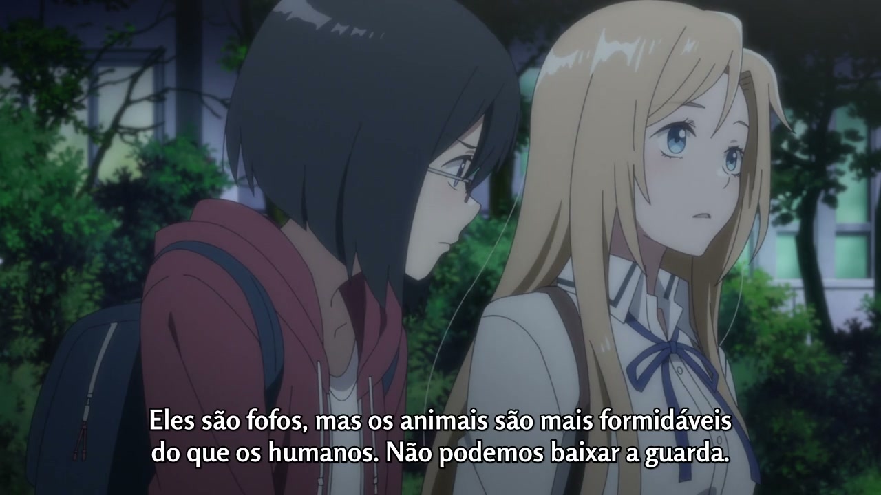 Episódio 008