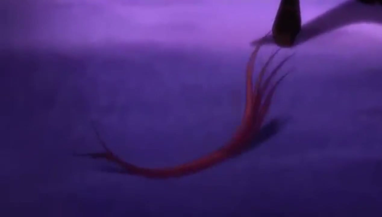 Episódio 004