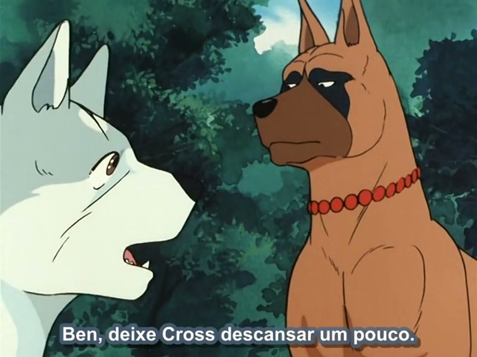 Episódio 017