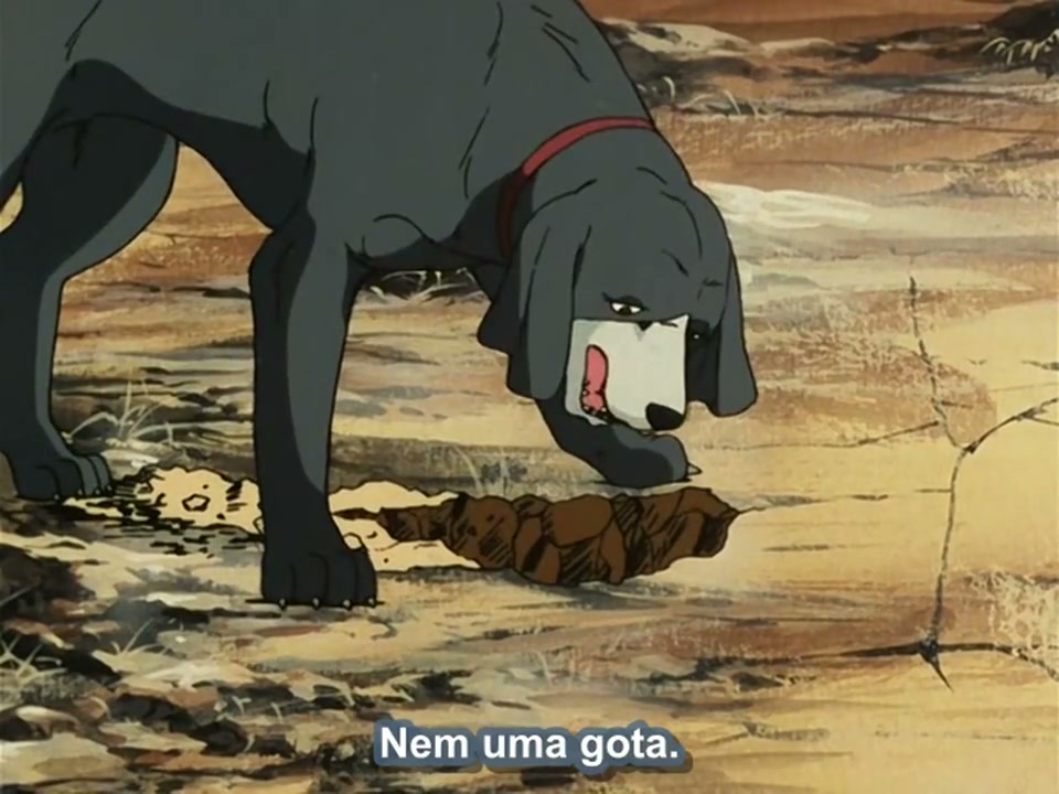 Episódio 016