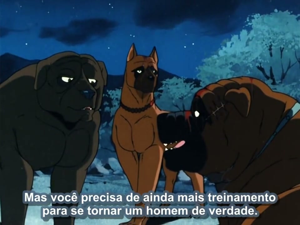 Episódio 011