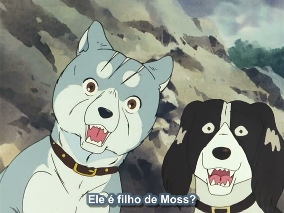Episódio 010