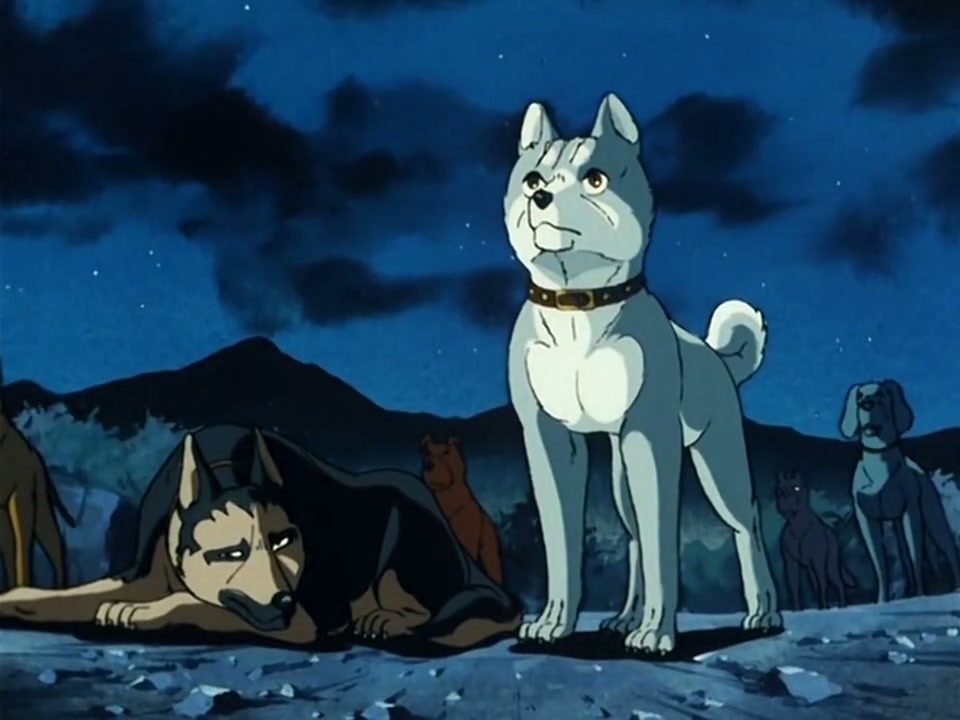 Episódio 008
