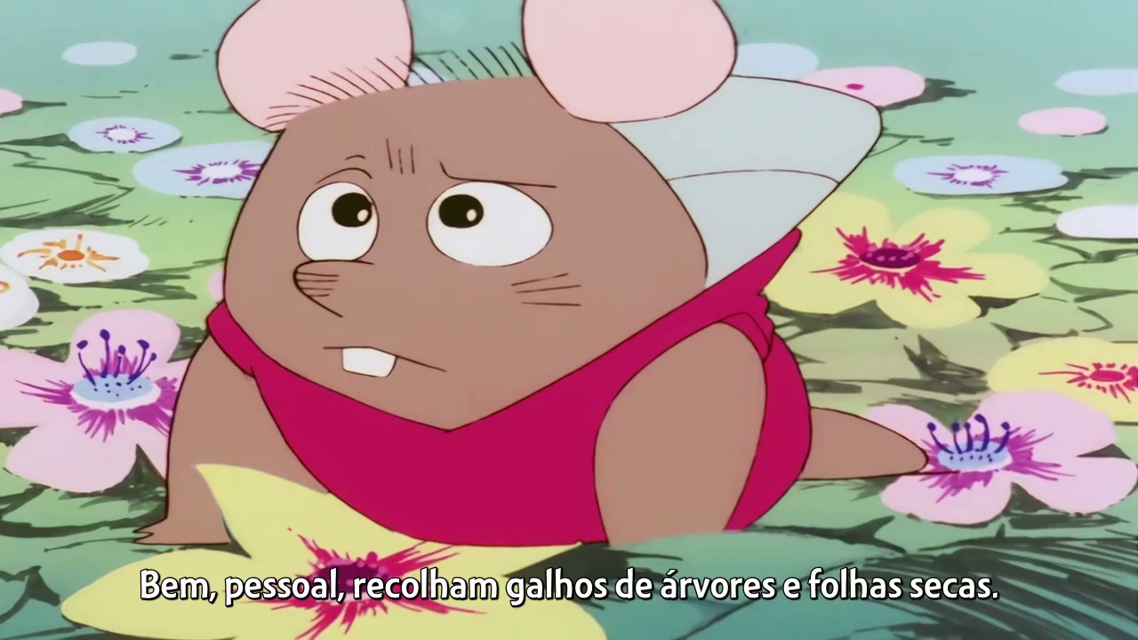 Episódio 007