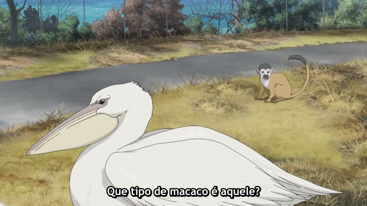 Episódio 013