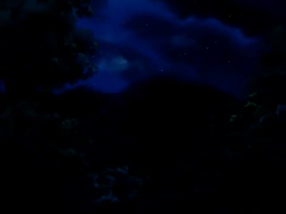 Episódio 007