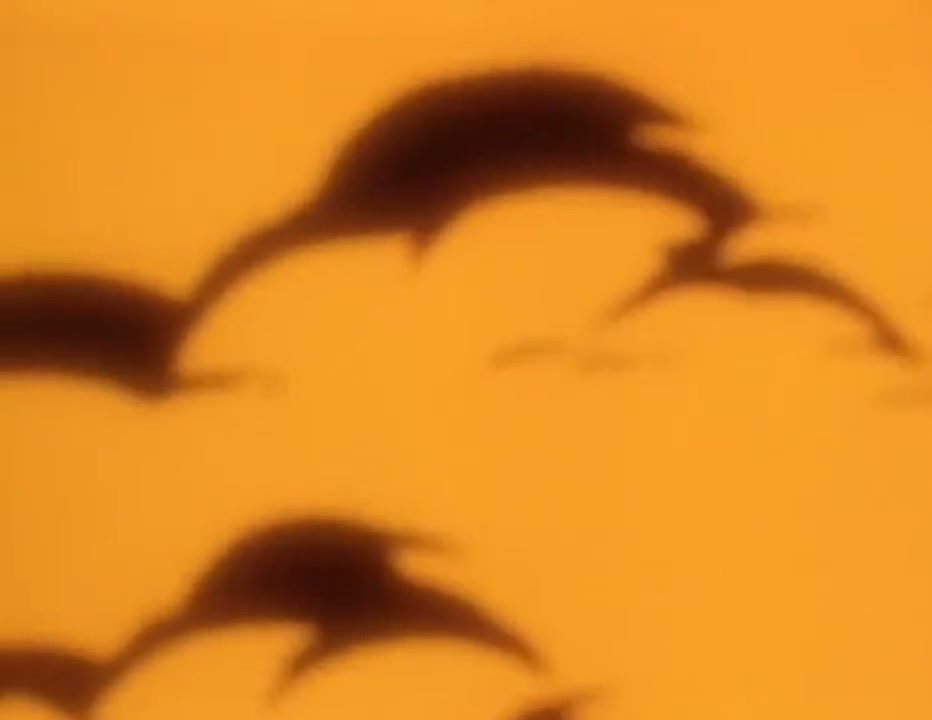 Episódio 009