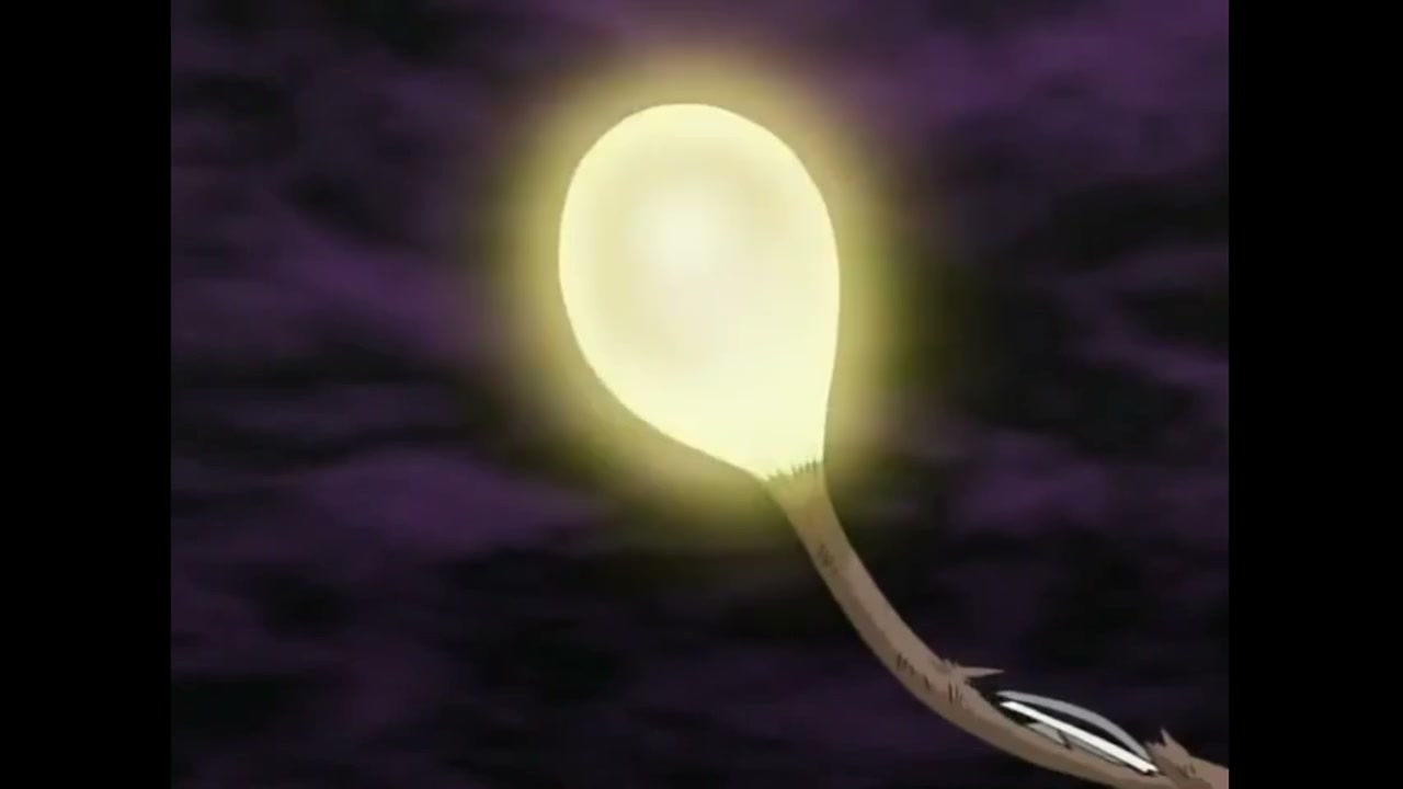 Episódio 031
