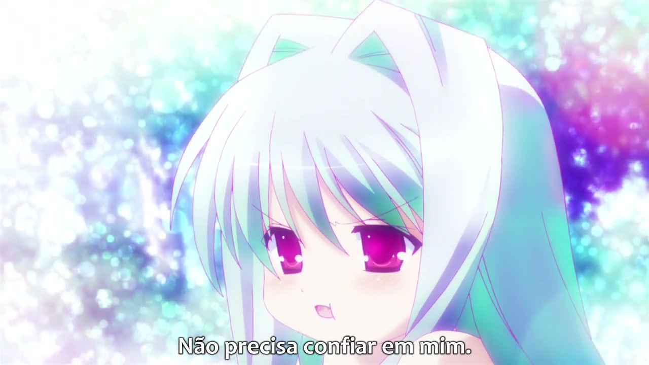 Episódio 005