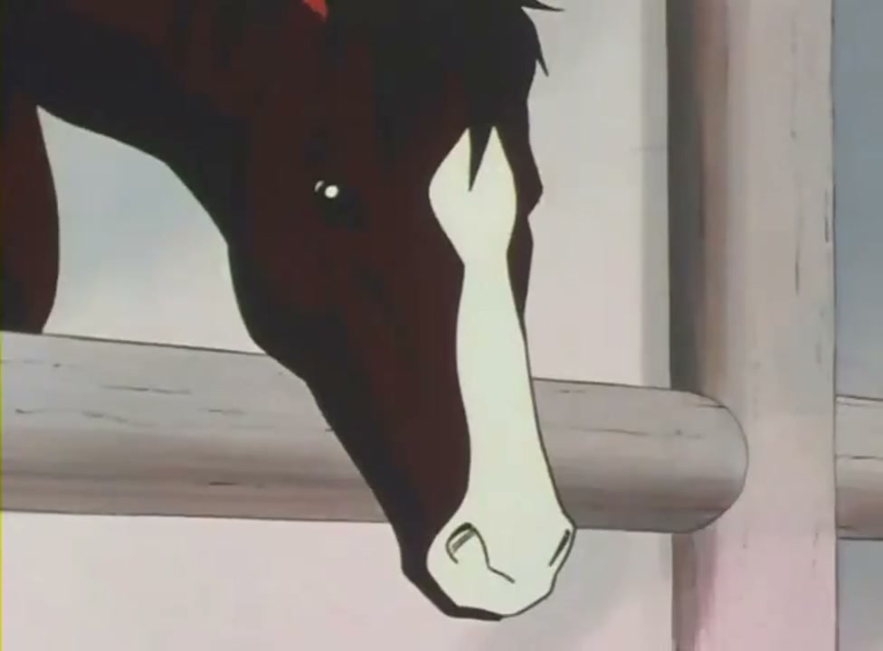 Episódio 002