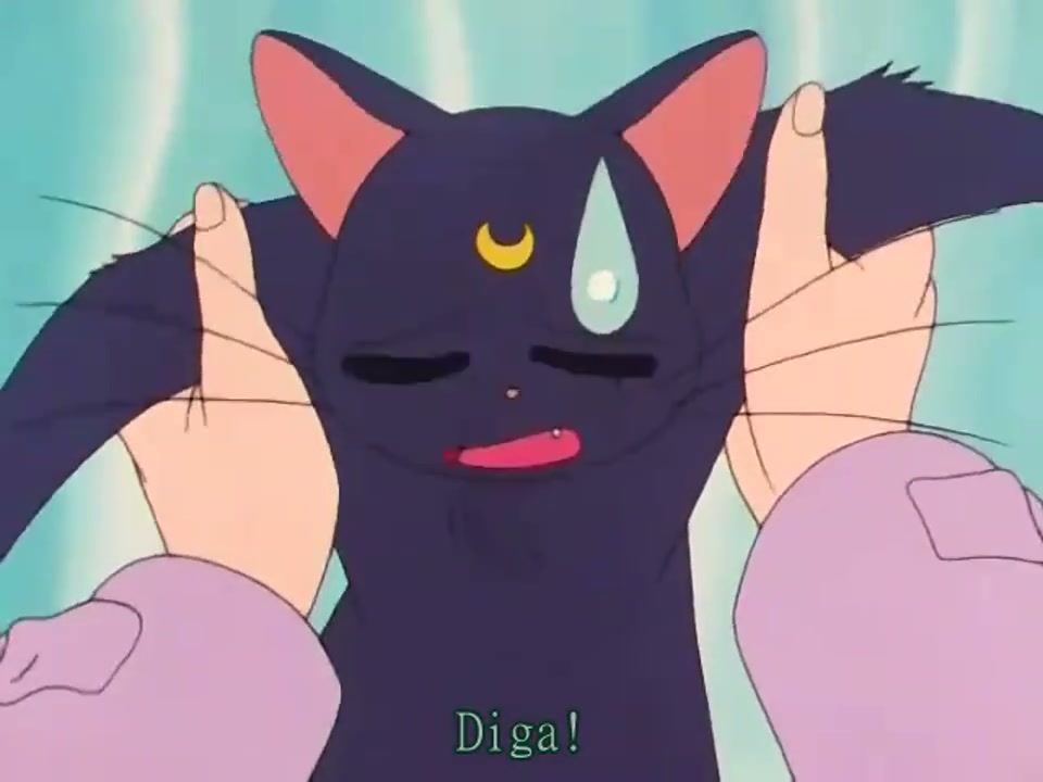 Episódio 004