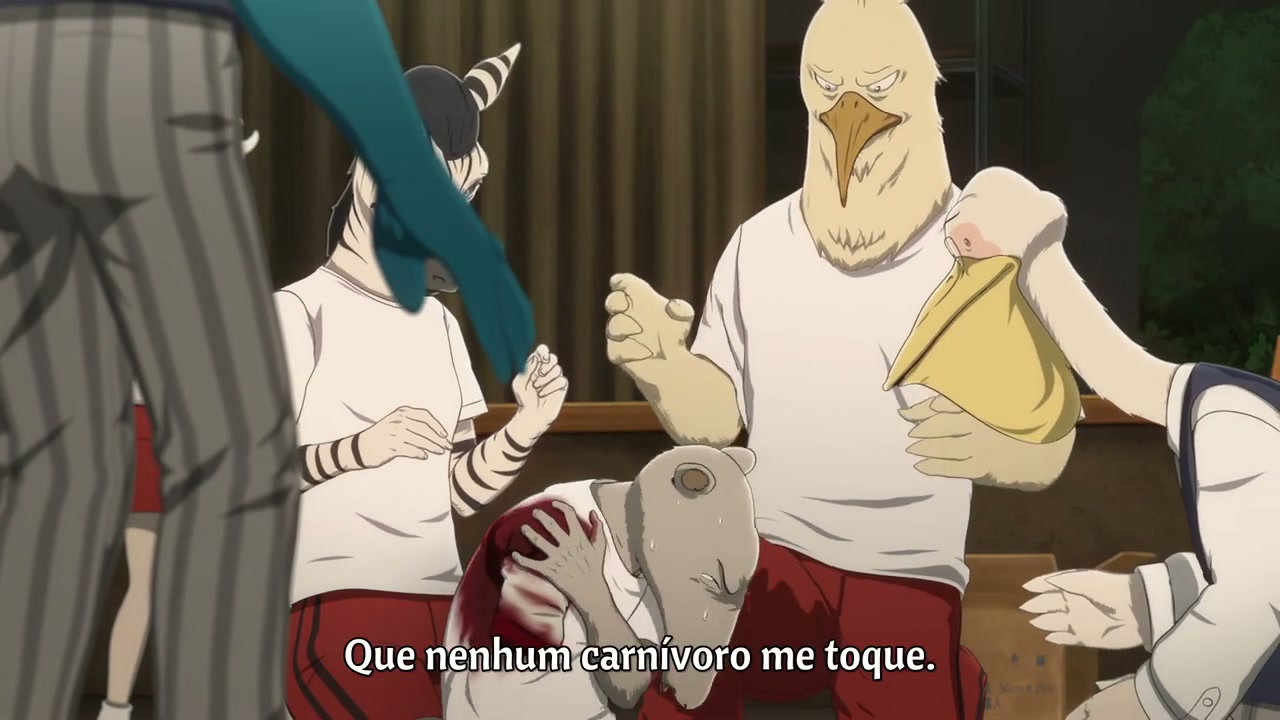 Episódio 007