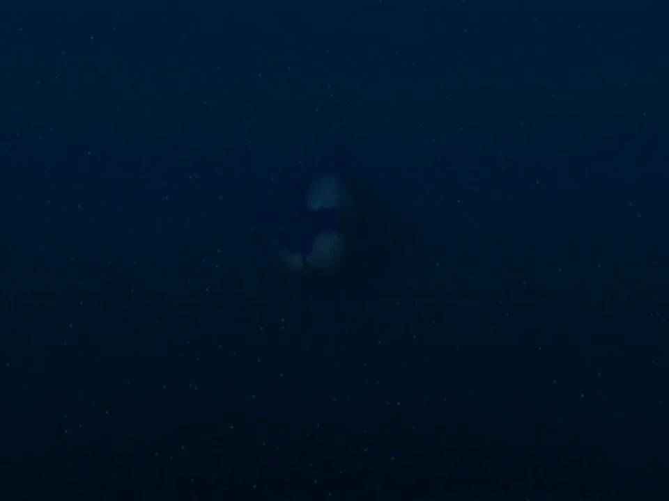 Episódio 003