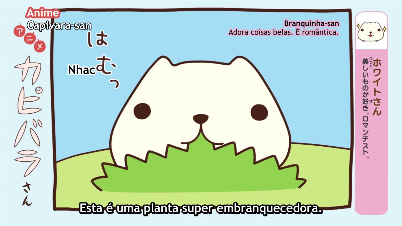 Episódio 017