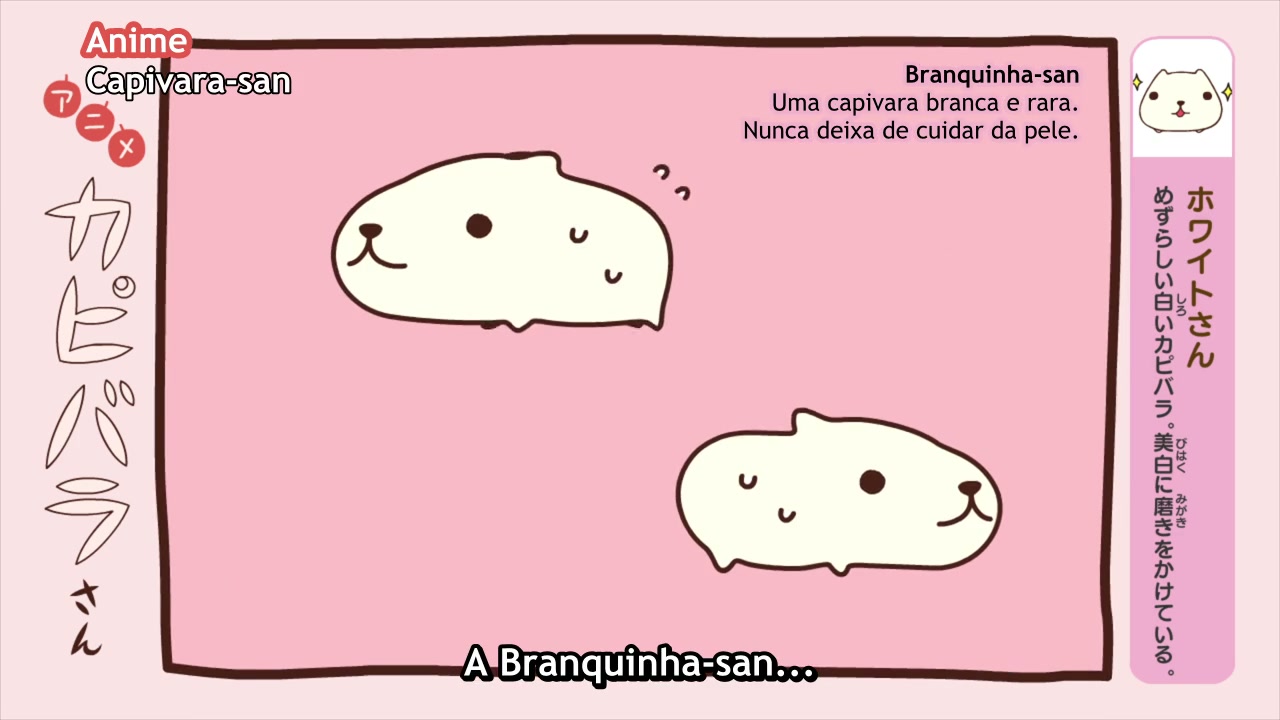 Episódio 008