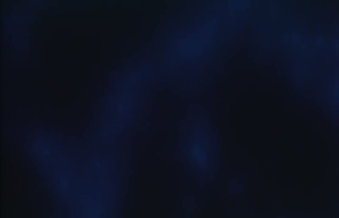 Episódio 001