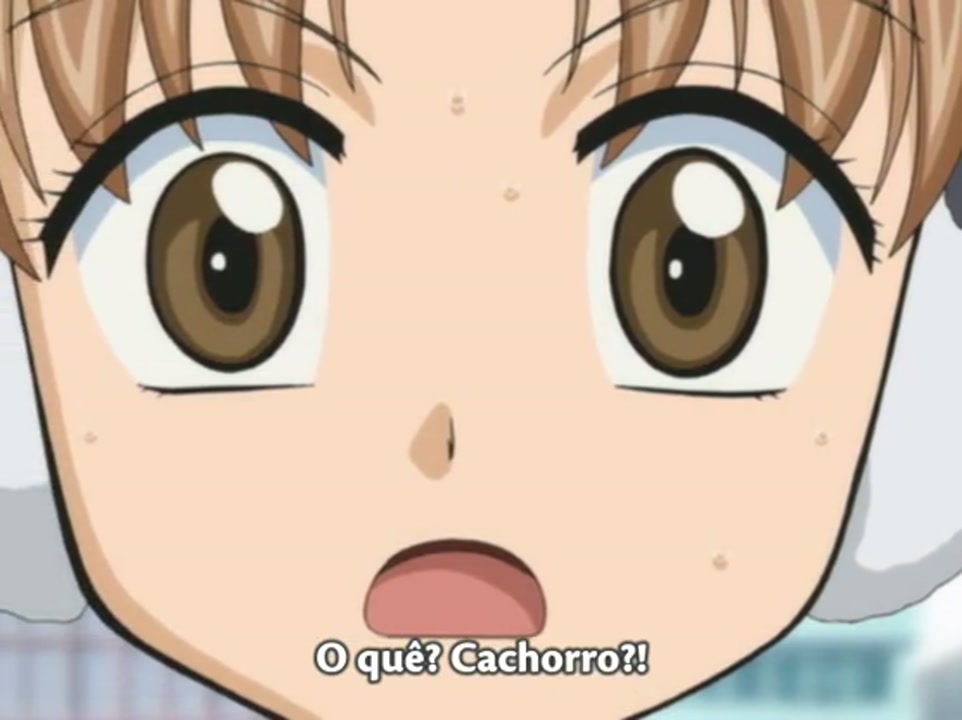 Episódio 014