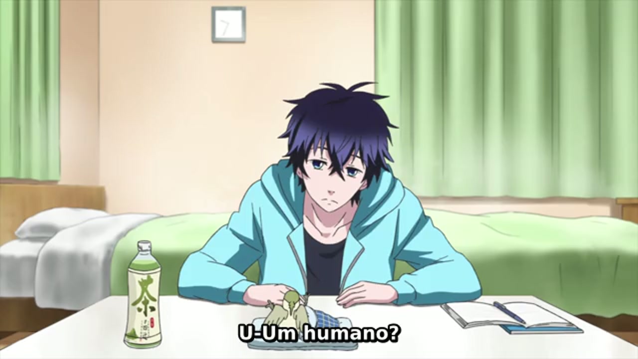 Episódio 008