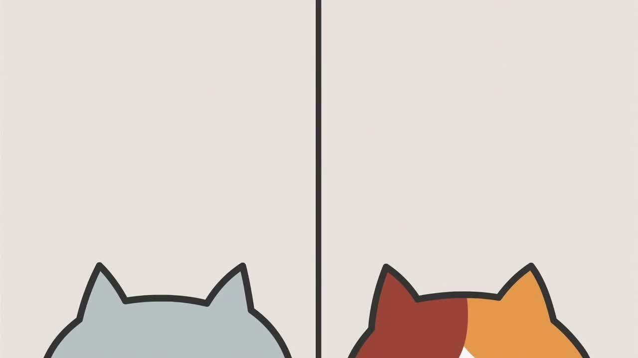 Episódio 005