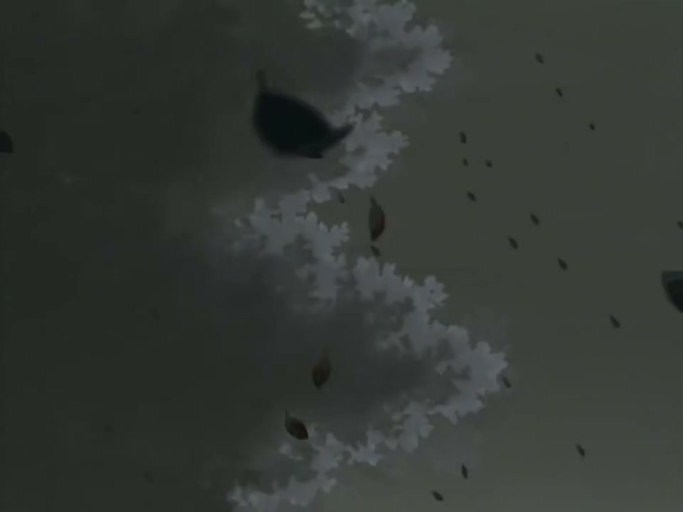Episódio 006
