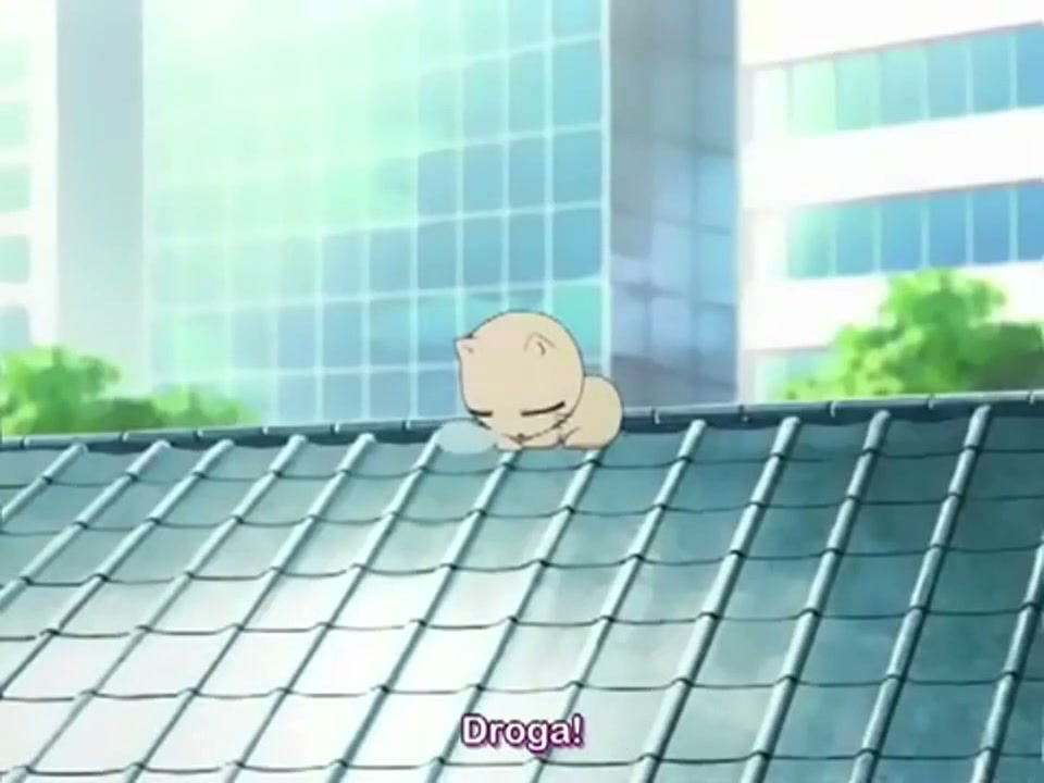 Episódio 013