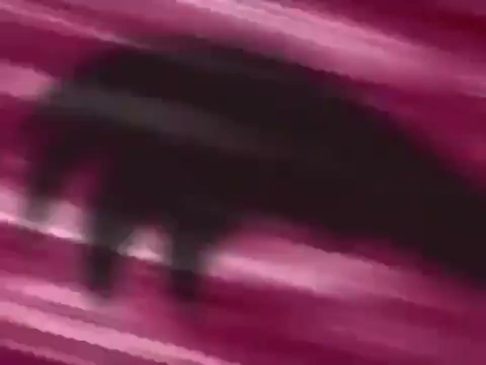 Episódio 012