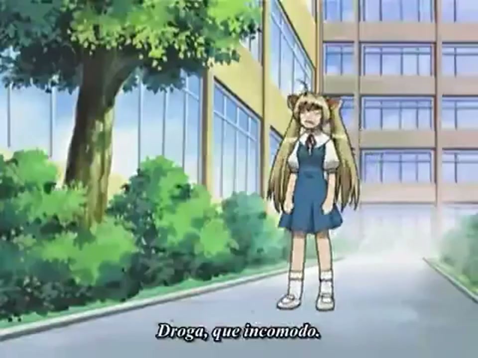 Episódio 005