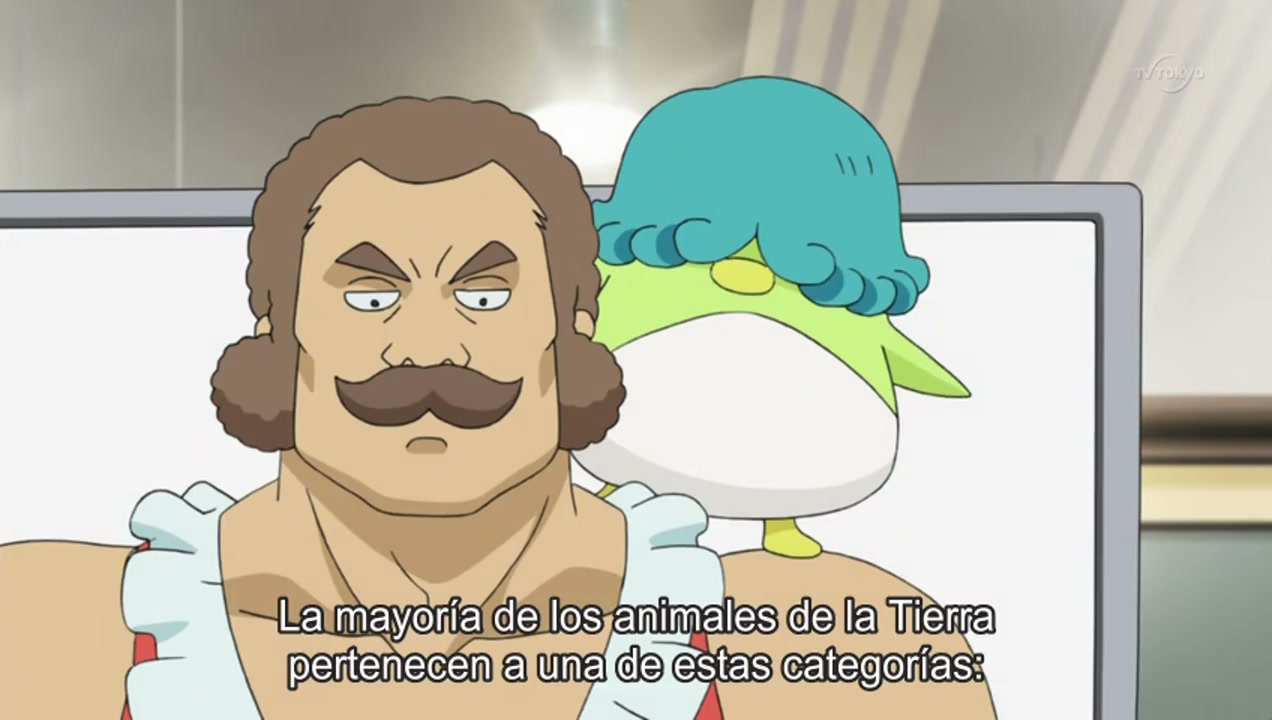 Episódio 008