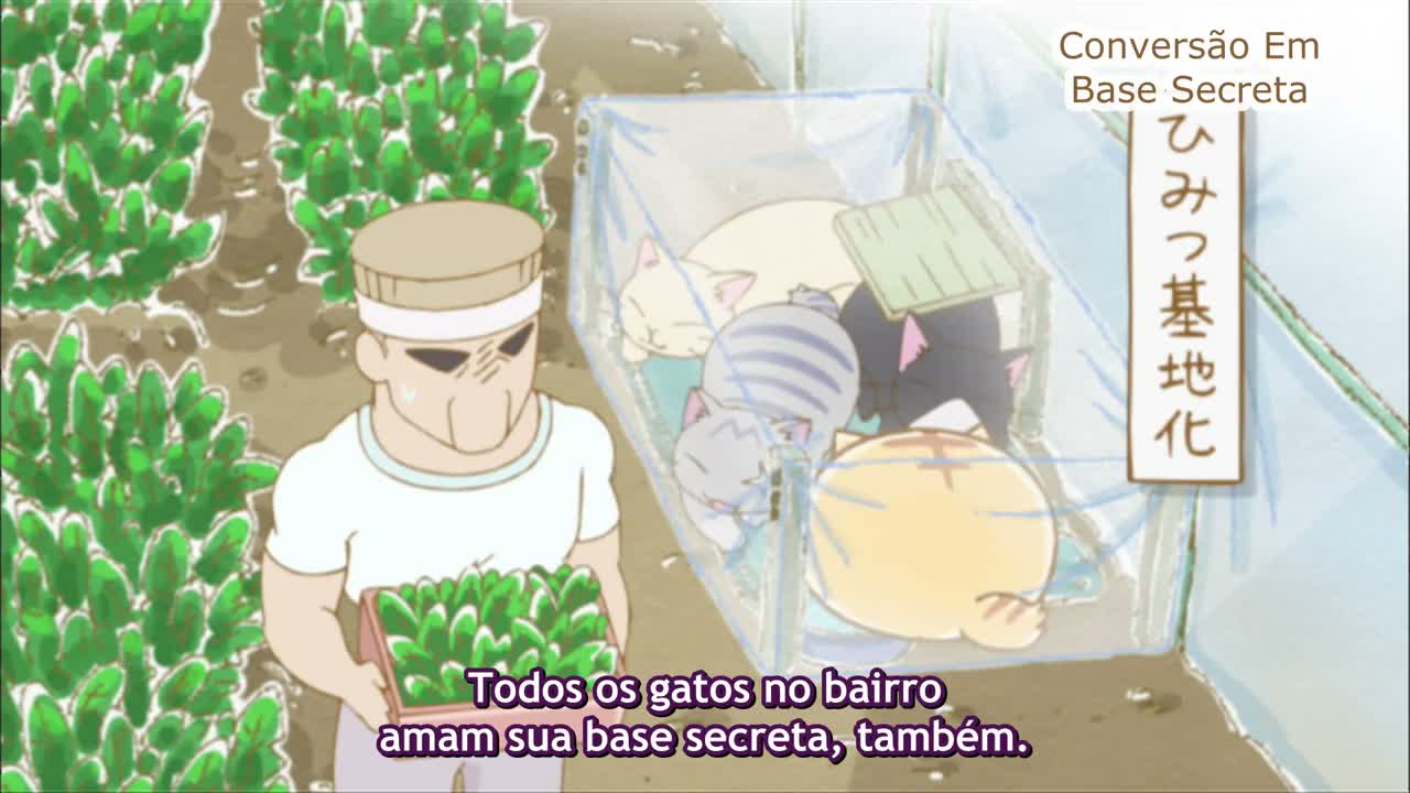 Episódio 008