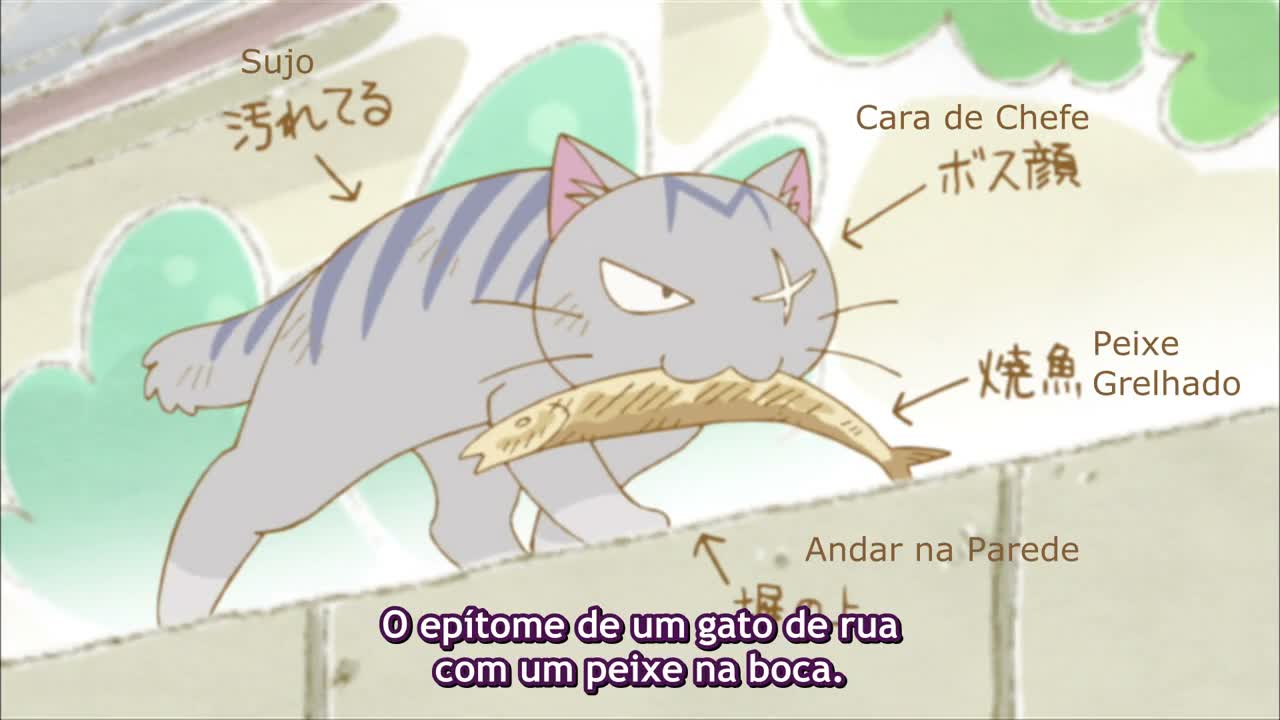 Episódio 003