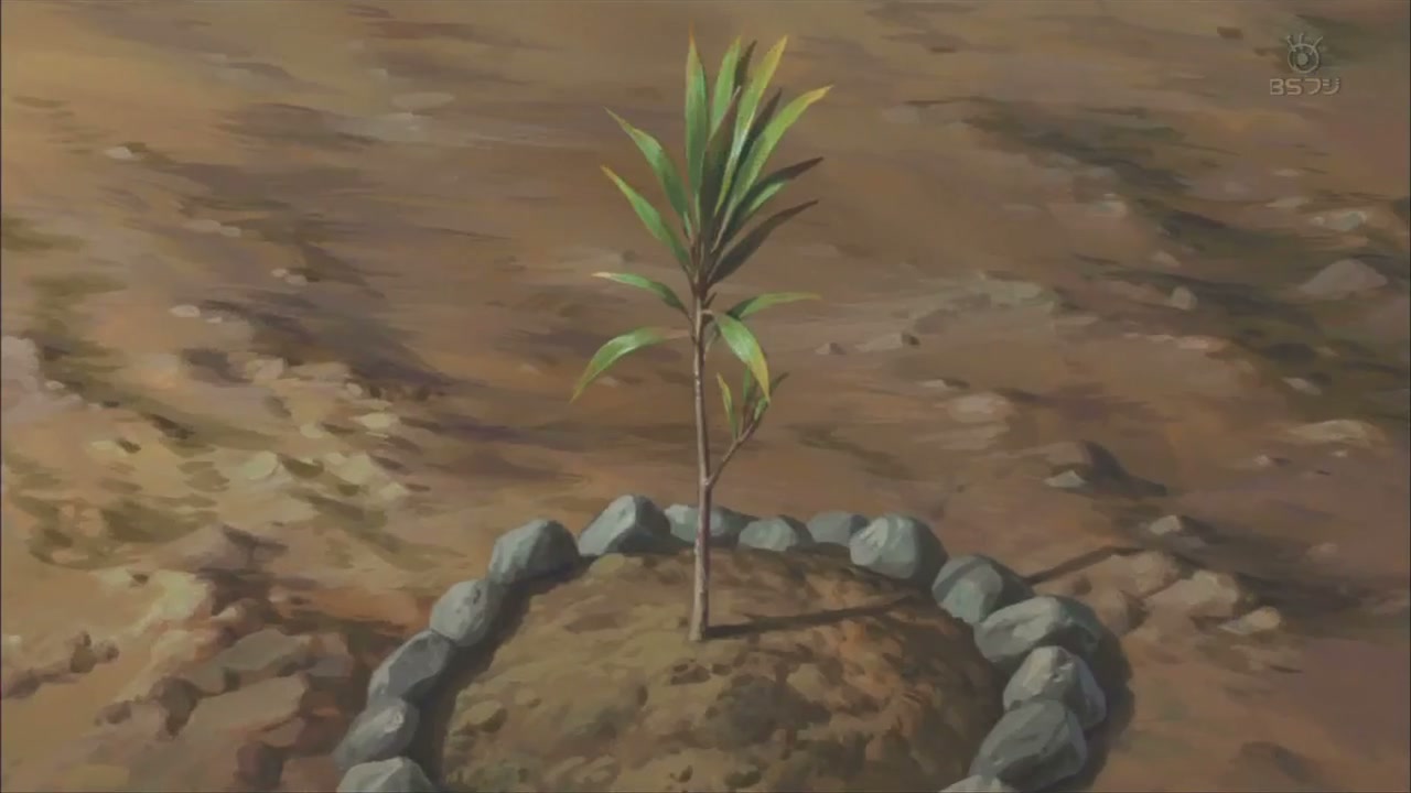 Episódio 029