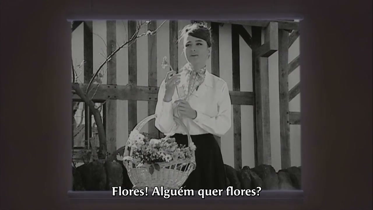 Episódio 007