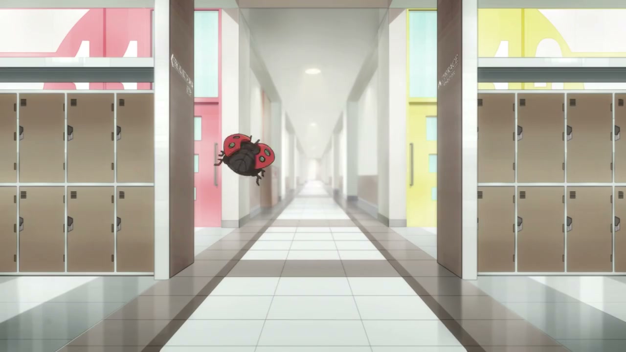 Episódio 005