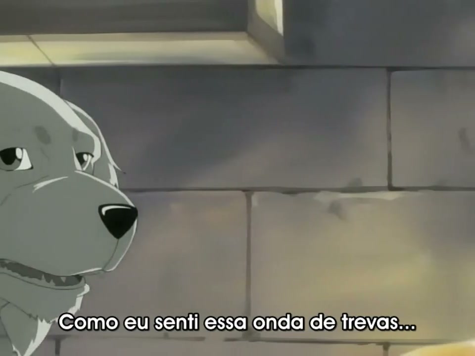 Episódio 024