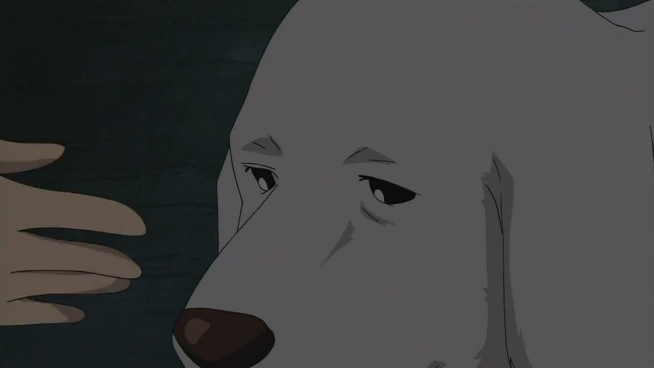Episódio 034