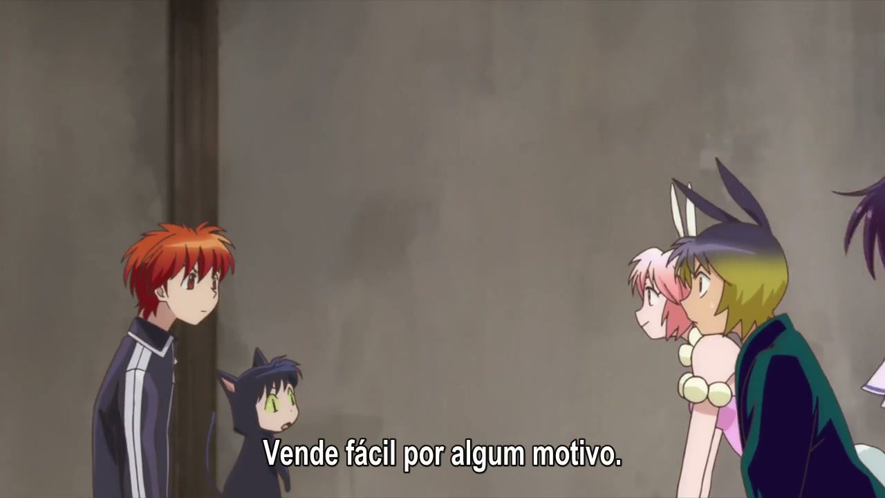 Episódio 003