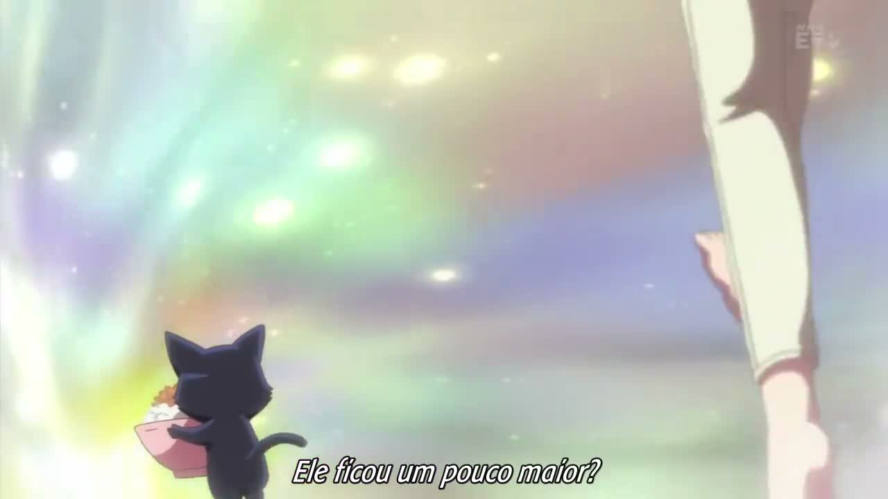 Episódio 003