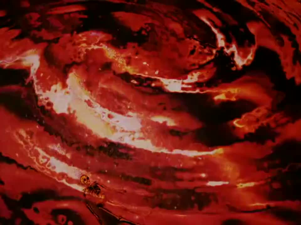 Episódio 011