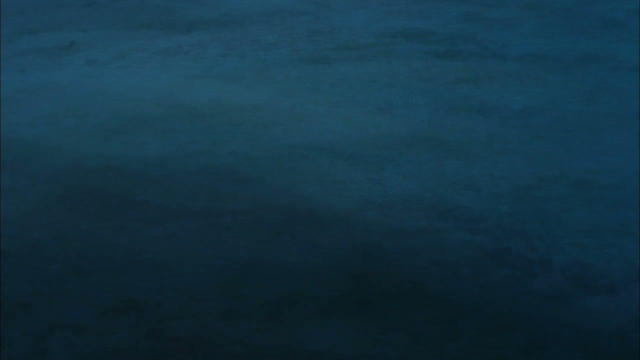 Episódio 008