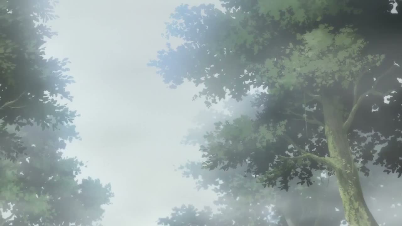 Episódio 008