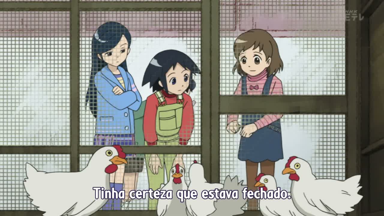 Episódio 029